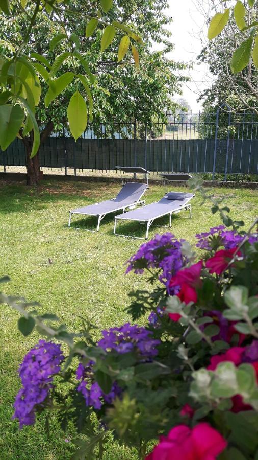 Appartement Hemelse Helderheid à Maasmechelen Extérieur photo